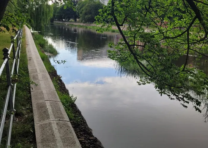Apartment Boho #basen#sauna#silownia#garaz